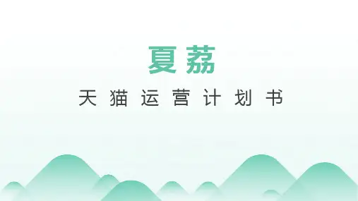 天猫运营计划书PPT-成功下店PPT之牙膏入住模板