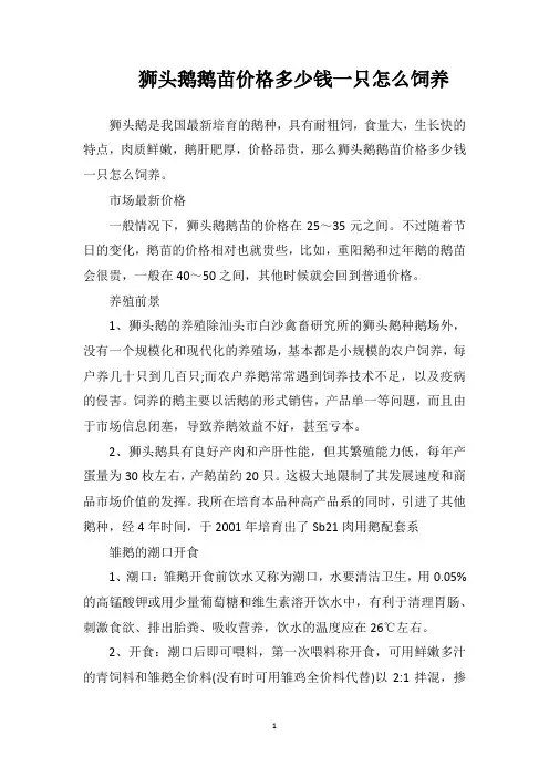 狮头鹅鹅苗价格多少钱一只？怎么饲养