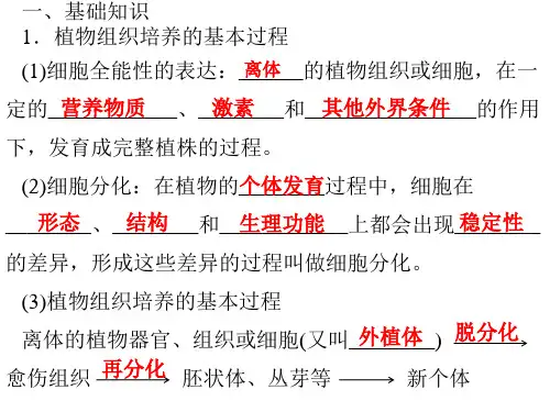 人教版高中生物选修一专题3课题1《菊花的组织培养》 课件 (共66张PPT)