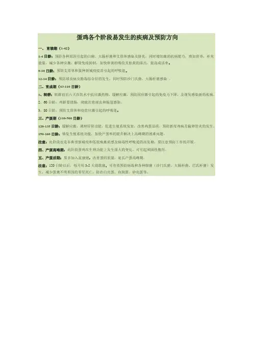 蛋鸡各个阶段易发生的疾病及预防方向