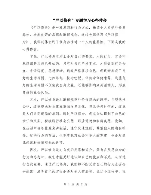 “严以修身”专题学习心得体会
