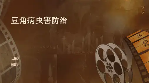 豆角病虫害防治