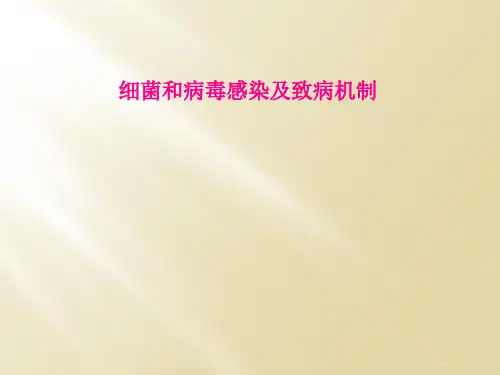 细菌和病毒感染及致病机制