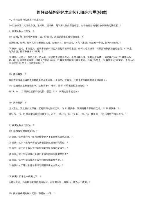 脊柱各结构的体表定位
