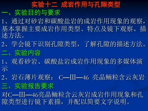 实验十二、成岩作用与孔隙类型