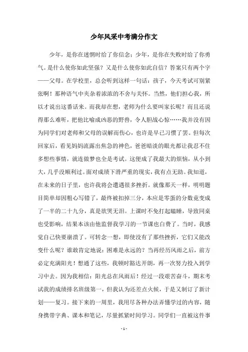 少年风采中考满分作文