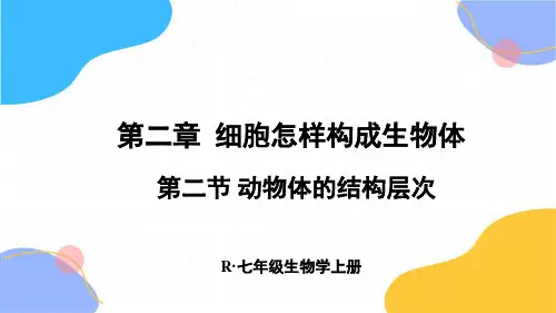 生物人教版七年级(上册)第二节动物体的结构层次(2024版新教材)