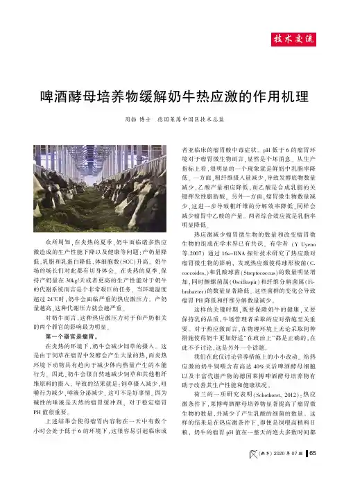啤酒酵母培养物缓解奶牛热应激的作用机理