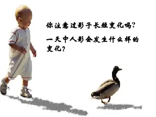太阳高度角太阳高度ppt课件