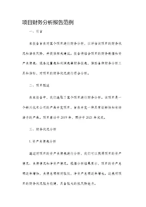 项目财务分析报告范例