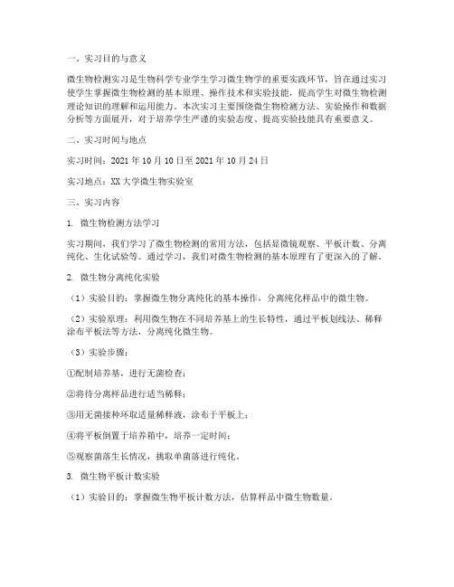 微生物检测的实习报告