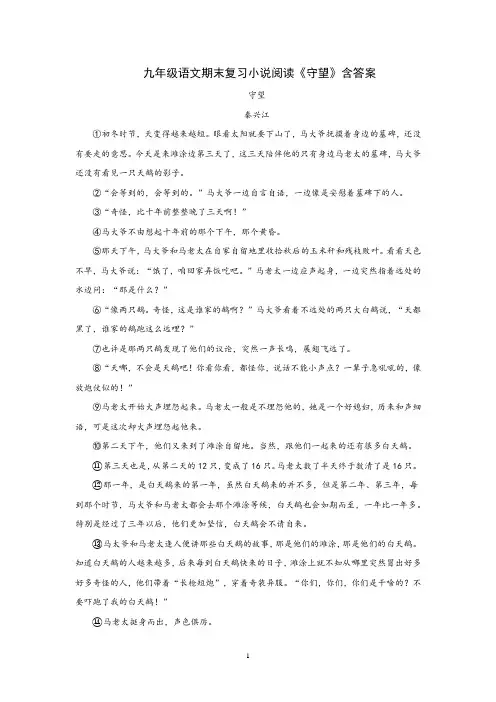 九年级语文期末复习小说阅读《守望》含答案