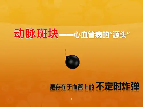 患教-颈动脉斑块PPT课件