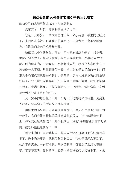 触动心灵的人和事作文800字初三记叙文
