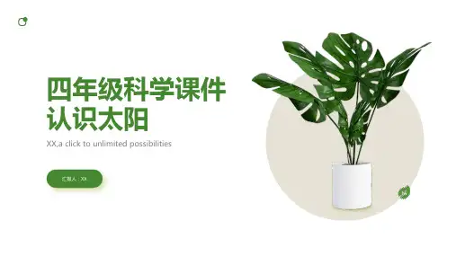 四年级科学课件认识太阳