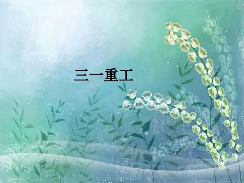 三一重工价值评估课件