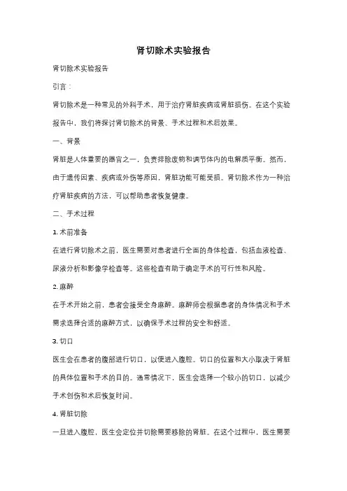 肾切除术实验报告
