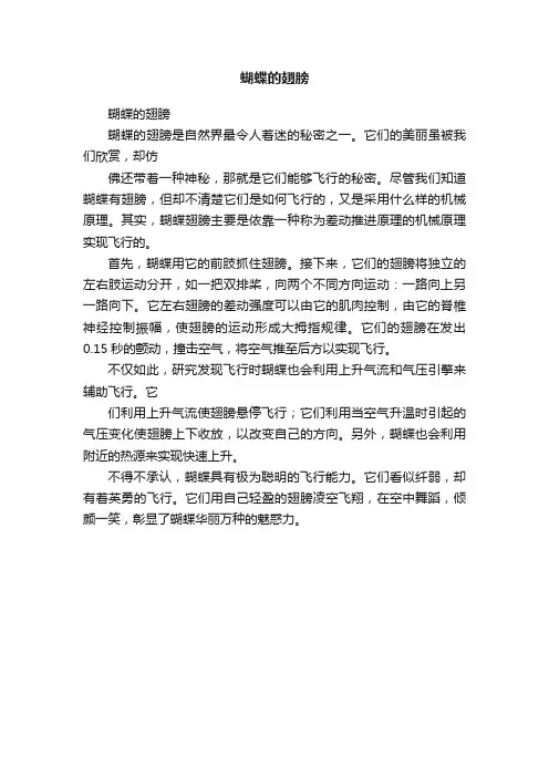 蝴蝶的翅膀