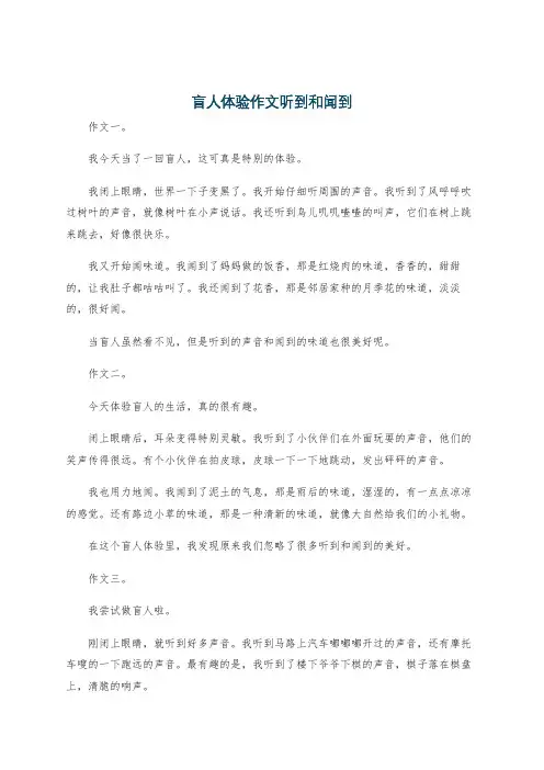 盲人体验作文听到和闻到