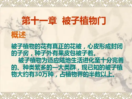 被子植物的花有真正的花被讲解