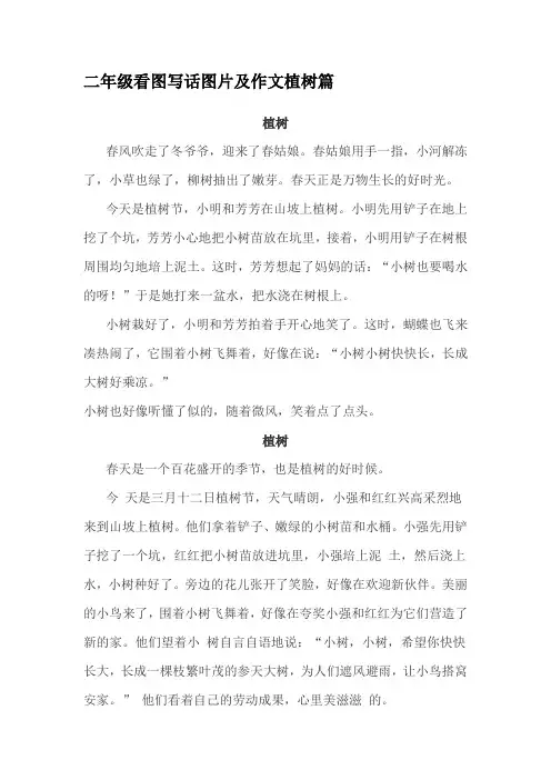二年级语文看图写话(植树篇)