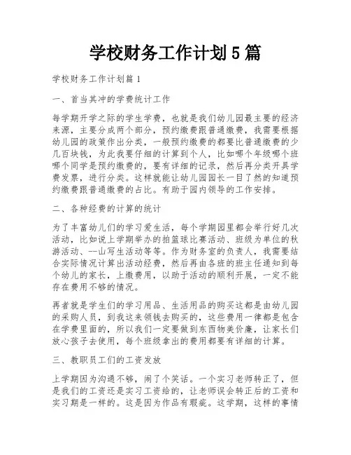 学校财务工作计划5篇