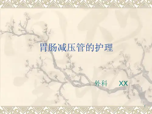 胃肠减压管的安置ppt课件