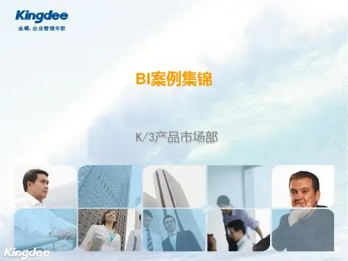 商业智能分析(BI)案例集锦