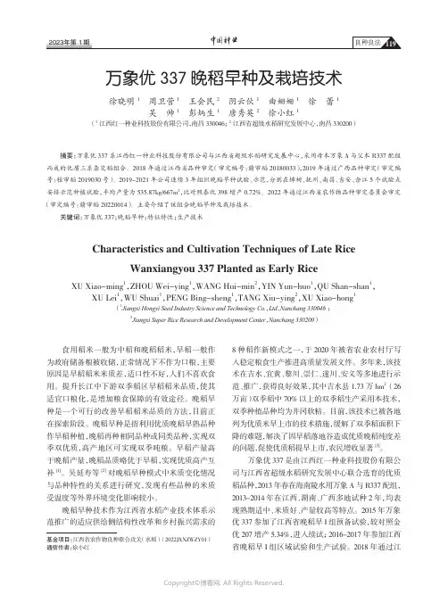 万象优337晚稻早种及栽培技术