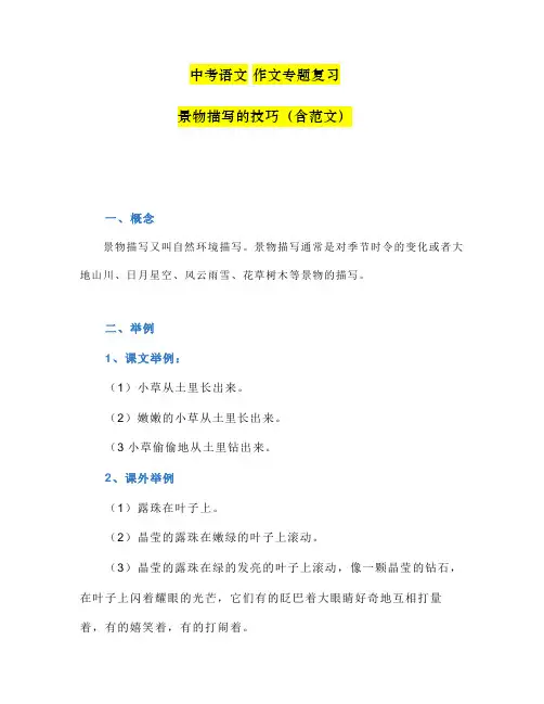 中考语文作文专题复习：景物描写的技巧