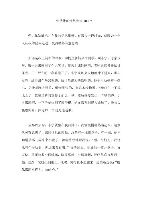 你从我的世界走过700字