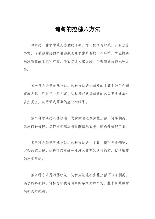 葡萄的拉穗六方法