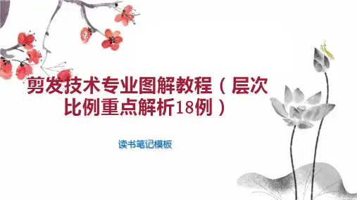 剪发技术专业图解教程(层次比例重点解析18例)