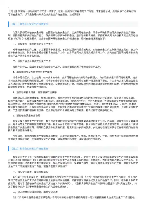 粮食企业安全生产自查报告