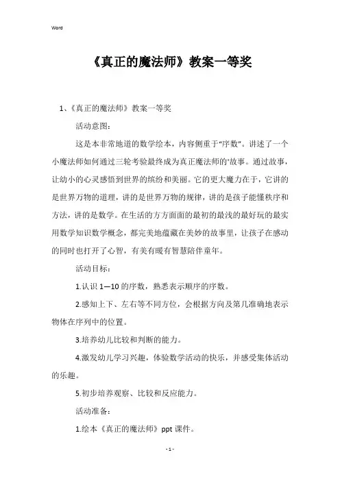 《真正的魔法师》教案一等奖