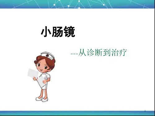 (精选课件)小肠镜PPT幻灯片