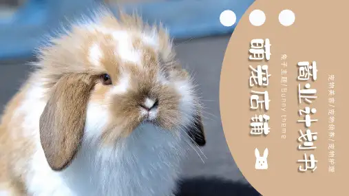 萌宠店铺商业计划书PPT