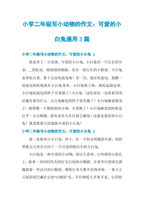 小学二年级写小动物的作文：可爱的小白兔通用3篇