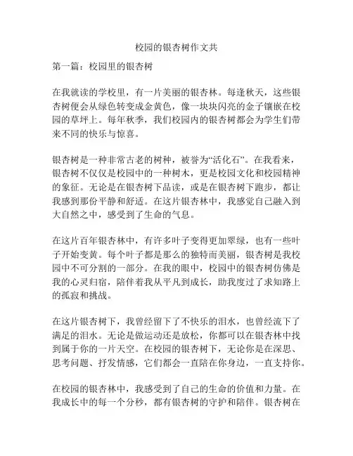 校园的银杏树作文共