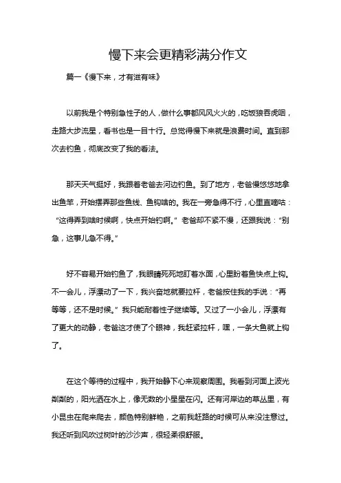 慢下来会更精彩满分作文