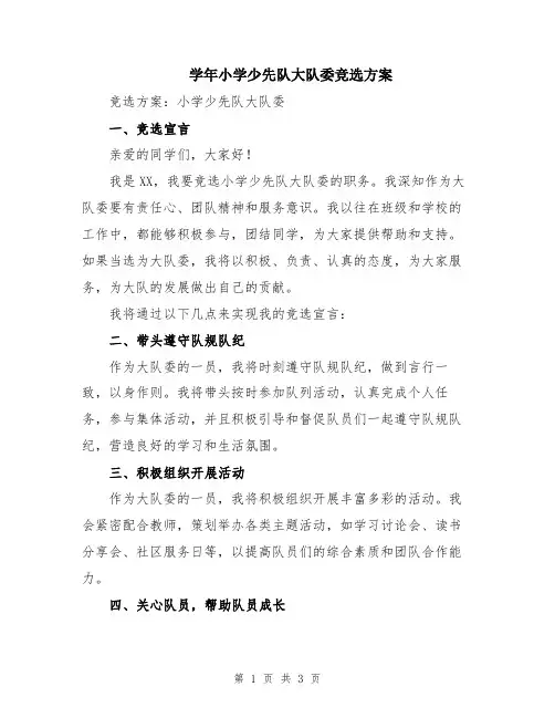 学年小学少先队大队委竞选方案