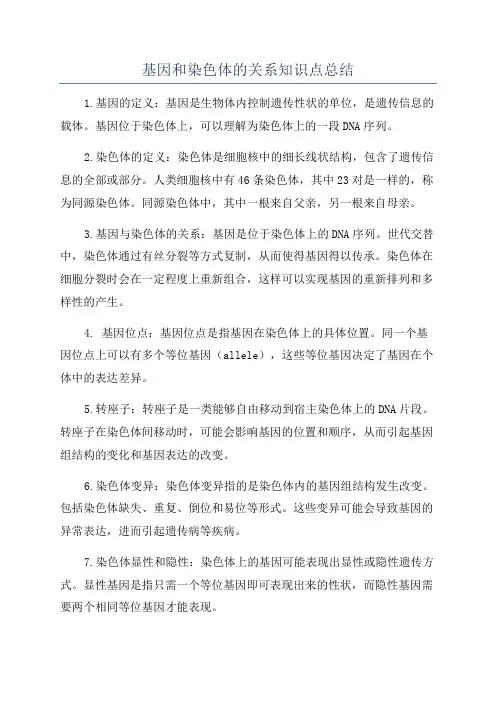基因和染色体的关系知识点总结