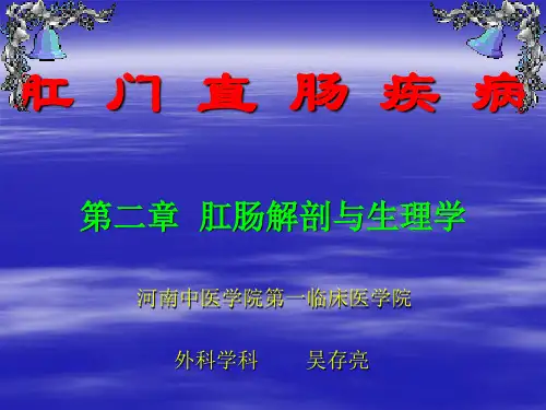 第二章  肛肠解剖与生理学