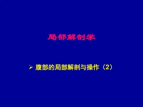 局部解剖 腹部2-腹膜与腹膜腔、结肠上区