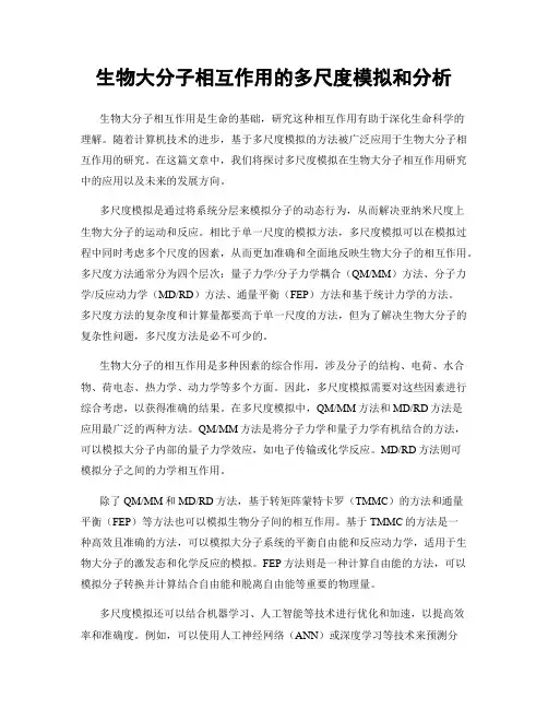 生物大分子相互作用的多尺度模拟和分析