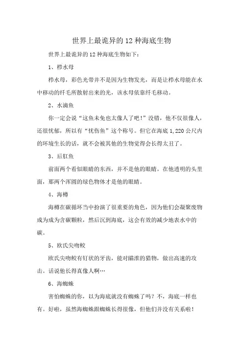 世界上最诡异的12种海底生物