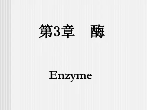 生化·第3章·酶ppt课件
