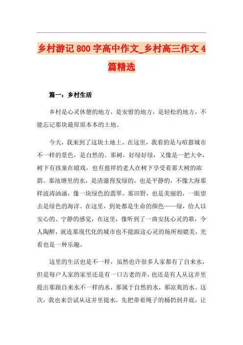 乡村游记800字高中作文_乡村高三作文4篇精选