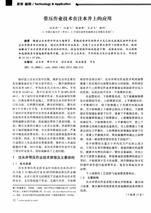 带压作业技术在注水井上的应用
