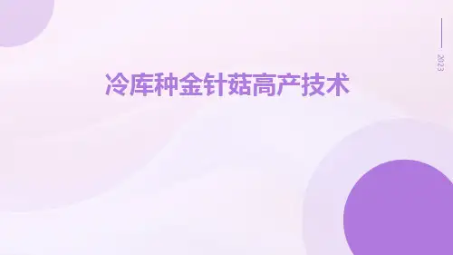 冷库种金针菇高产技术